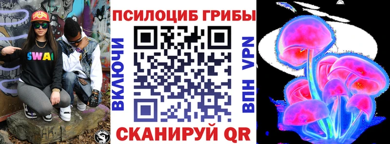 Псилоцибиновые грибы Psilocybe  Купить закладки  Королёв